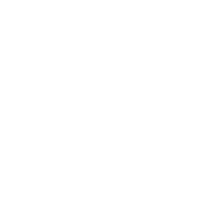Gift Birthday